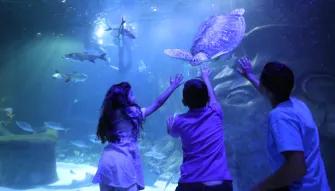 Family at the Sea Life Orlando Aquarium