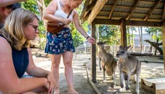 Mossman Gorge, Daintree and Wildlife Tour from Port Douglas 