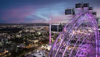 Orlando Eye at Night