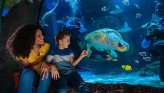 Family at the Sea Life Orlando Aquarium