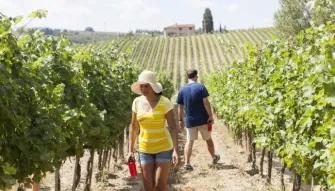 walking-through-vineyard