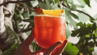 The View at The Palm plus Lunch 