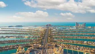 The View at The Palm The View at The Palm