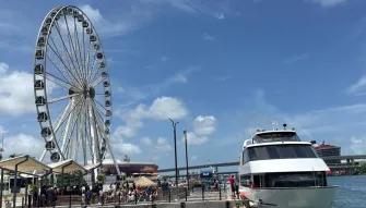 Miami Skyline Cruise of Millionaire's Homes and Biscayne Bay