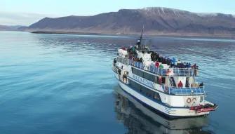 whale-watching-boat-on-water