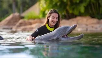 Woman interacting with Dolphin at Discovery Cove Orlando