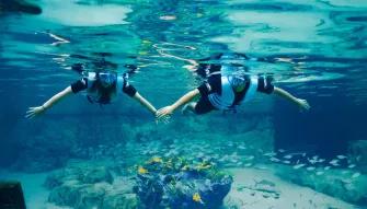 Guests snorkelling over the Grand Reef at Discovery Cove Orlando