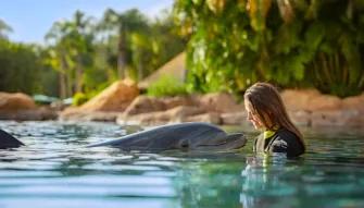Guest interacting with Dolphin at Discovery Cove Orlando
