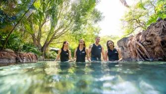Guests at Discovery Cove Orlando