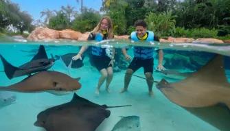 Guests interacting with rays at Discovery Cove Orlando