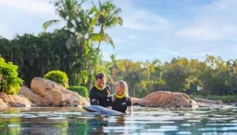 Couple interacting with Dolphin at Discovery Cove Orlando