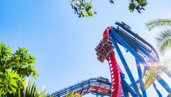 SheiKra rollercoaster at Busch Gardens Tampa