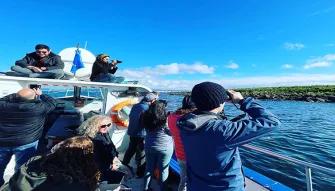 Observing from a boat