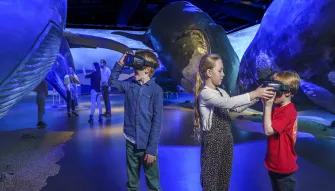 Interactive Exhibition