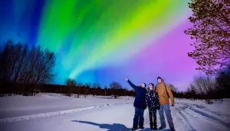Northern Lights Iceland Aurora Borealis Iceland