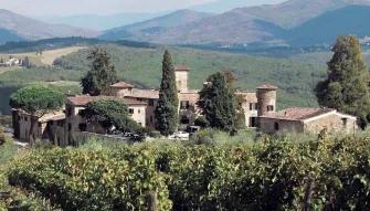 Semi Private Chianti Wine Tour with Wineries