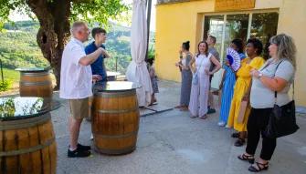 Semi Private Chianti Wine Tour with Wineries