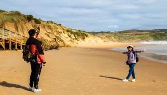 Phillip Island Penguin Parade