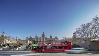 Sightseeing by bus