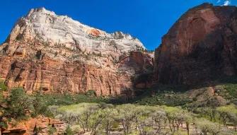 Zion National Park Tour
