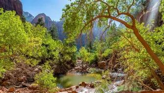 Zion National Park Tour