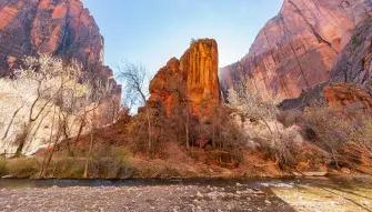 Zion National Park Tour