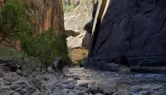 Zion National Park Tour