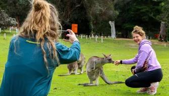 Grampians National Park Day Tour Lady smiling feeding a Kangaroo