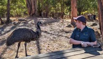 Grampians National Park Day Tour A man sits on a bench, smiling warmly, while an emu casually strolls past in the background