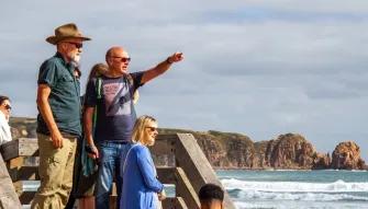 Phillip Island Express Tour People over looking the stunning ocean on the Phillip Island Express Tour