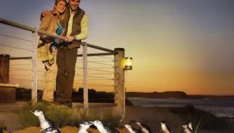 Phillip Island Express Tour Smiling couple watching penguins at the beach during the Phillip Island Express Tour