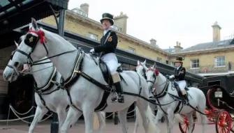 Royal Mews Horse Drawn Carriage