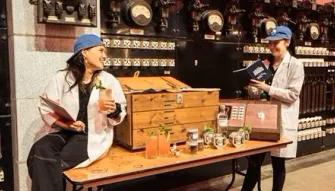 battersea experience