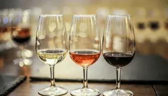 Explore Tamborine Tour Three glasses of wine on display during a winery visit on the Explore Tamborine Tour