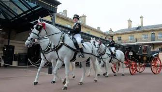 London Royal Mews at Buckingham Palace 