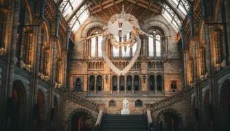 Natural History Museum tour