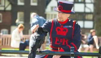 Beefeater at Tower of London Tower of London
