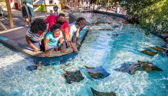 Go City: Los Angeles All-Inclusive Pass