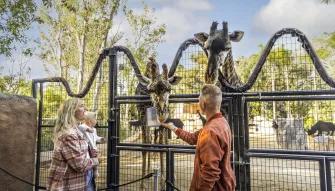 Go City: Los Angeles All-Inclusive Pass Plus