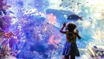 Go City: San Diego Essentials