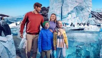 SeaWorld Yas Island Abu Dhabi Smiling family seeing penguins at SeaWorld Yas Island Abu Dhabi