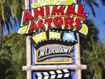 Animal Actors on Location! Animal Actors on Location!