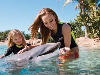 Top 10 Animal Encounters in Orlando  Top 10 Animal Encounters in Orlando