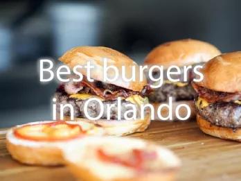 Best Burger at the Orlando Parks