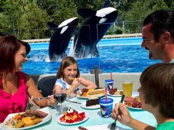 Dine with Killer Whales Dine with Killer Whales