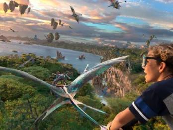 Avatar Flight of Passage