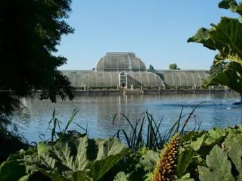 Kew Gardens and Kew Palace Ticket