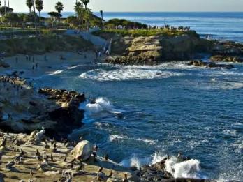 Was gibt’s in San Diego zu entdecken? Was gibt’s in San Diego zu entdecken?