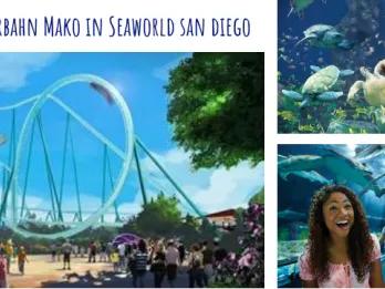 Bald in SeaWorld San Diego: Kalifornien's schnellste Achterbahn Bald in SeaWorld San Diego: Kalifornien's schnellste Achterbahn