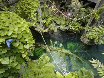 California Academy of Sciences Skip-the-Line General Admission Ticket